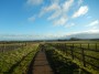 Sunshine and views Sunshine and views