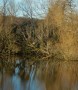 Spot the heron Spot the heron