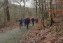 Up the hill Up the hill
