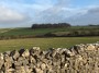 Fields and sheep Fields and sheep