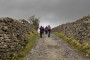 Old Drovers path? Old Drovers path?