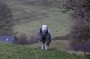 Gotta love a Herdy Gotta love a Herdy
