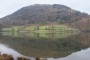 Reflective view Reflective view
