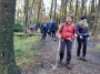 Through the wood Through the wood