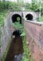 Interesting bridge