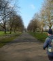 Leaving the park Leaving the park