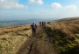 Heading towards Belmont