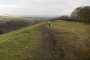 Back towards Walker Fold Back towards Walker Fold