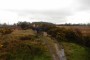 Through the gorse Through the gorse