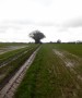 Big fields here