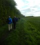 Large fields here
