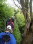 Narrow path Narrow path