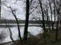 More water and trees