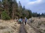 Leaving the wood