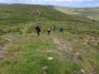 Coming down Brown Wardle Coming down Brown Wardle