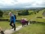 Climbing up