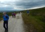 Up on the moor