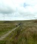 On the Long Causeway On the Long Causeway