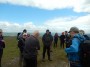 Top of Brown Wardle Top of Brown Wardle