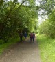 Back in Healey Dell Back in Healey Dell