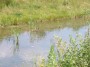 Pond on the way Pond on the way
