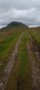 Moorland track