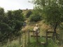 Colleen ready for the stile Colleen ready for the stile