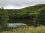 Peaceful backwater