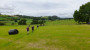 Through the fields