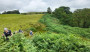 Bracken bashing Bracken bashing