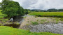 River view