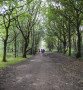 In Lever Park In Lever Park