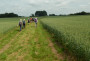 Through the fields Through the fields