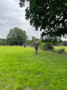 John leads the way John leads the way