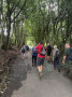 Towards Anglezarke