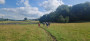 Through the fields in the sun