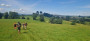 Lovely scenery