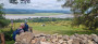 Arnside Knott