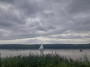 Sailboat ahoy