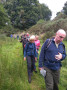 Steep descent to the River Darwen Steep descent to the River Darwen