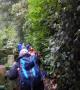 Some wet foliage to get through Some wet foliage to get through