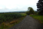 The view over to Winter Hill The view over to Winter Hill