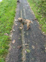 Otis enjoys his day Otis enjoys his day