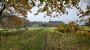 Autumn colours Autumn colours