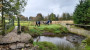 Crossing the stream and off we go Crossing the stream and off we go