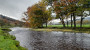 Meandering river Meandering river