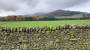 A little mist on the fell