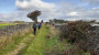 Old packhorse track?