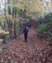 Lots of leaves Lots of leaves