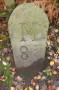 Milestone marker Milestone marker